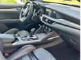 ALFA ROMEO STELVIO 2022/9 - 5