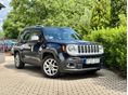 JEEP RENEGADE 2018/7 - 2