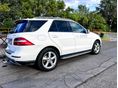 MERCEDES-BENZ ML 250 2014/2 - 6