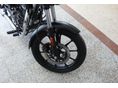 ROYAL ENFIELD METEOR 2025/9 - 7