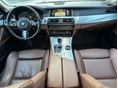 BMW 520 2016/12 - 8