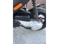 PIAGGIO NRG 2011/5 - 5