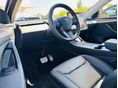 TESLA MODEL Y 2023/3 - 8