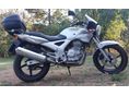 HONDA CBF 250 2005/4 - 6