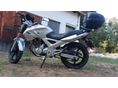 HONDA CBF 250 2005/4 - 7