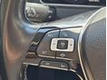 VOLKSWAGEN GOLF VII 2018/10 - 10