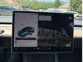 TESLA MODEL 3 2021/9 - 16