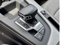 AUDI A5 2023/1 - 14