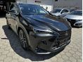 LEXUS NX 2024/8 - 2