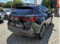 LEXUS NX 2024/8 - 4