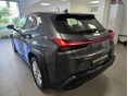 LEXUS UX 2021/10 - 4
