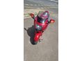 HONDA CBR 1100 XX 2002/10 - 2