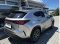 LEXUS NX 2025/10 - 5