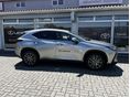 LEXUS NX 2025/10 - 10