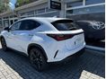 LEXUS NX 2026/1 - 2