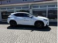 LEXUS NX 2026/1 - 11