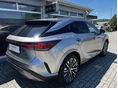 LEXUS RX 2025/8 - 10