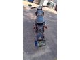 F.B MONDIAL HPS 125 2020/8 - 5