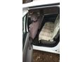 DACIA LOGAN 2007/7 - 6
