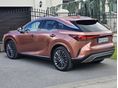 LEXUS RX 2023/8 - 3
