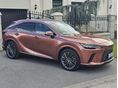 LEXUS RX 2023/8 - 6