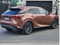 LEXUS RX 2023/8 - 8