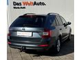 SKODA OCTAVIA 2017/1 - 6