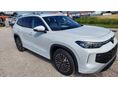 VOLKSWAGEN TAYRON 2026/6 - 2