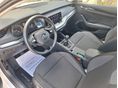 SKODA OCTAVIA 2022/4 - 17