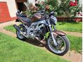 SUZUKI SV 1000 N 