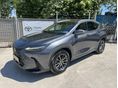 LEXUS NX 2022/4 - 1