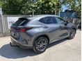 LEXUS NX 2022/4 - 2