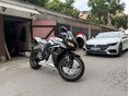 HONDA CBR 600 RR 