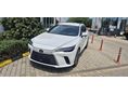 LEXUS RX 2025/10 - 2