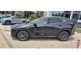 LEXUS NX 2026 - 3