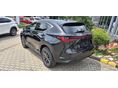LEXUS NX 2026 - 4