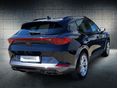 SEAT EGYÉB 2024/5 - 2