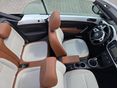 VOLKSWAGEN NEW BEETLE 2014/5 - 17
