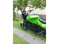 TRIUMPH SPEED TRIPLE 1995/3 - 5