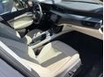 AUDI Q8 2024/1 - 10