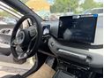 BYD DOLPHIN SURF 2026 - 6