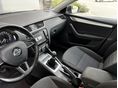 SKODA OCTAVIA 2016/6 - 10