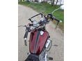 YAMAHA XV 750 (VIRAGO) 1995 - 5