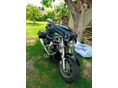 YAMAHA XVS 1300 A MIDNIGHT STAR 2011/9 - 2