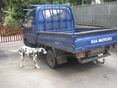 KIA K2500 2005/2 - 4