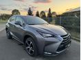 LEXUS NX 2014/11 - 7
