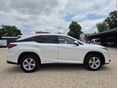 LEXUS RX 2019/8 - 6