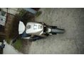 BEELINE TAPO 50/RS 2022/12 - 9