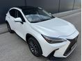 LEXUS NX 2022/9 - 3
