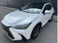 LEXUS NX 2022/9 - 4